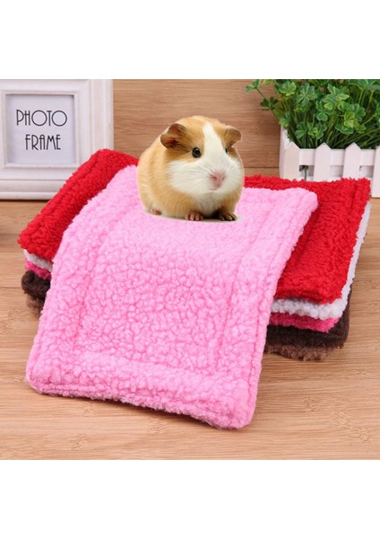 No.4 Tarzı Iki Tarafı Yumuşak Evcil Hayvan Isıtıcı Mat Plush Hamster Küçük Mat Tavşan Yatağı Yastık Mat (Yurt Dışından)