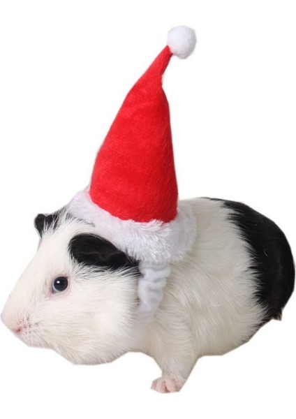 Küçük Hayvanlar Pet Noel Baba Şapkası Tavşan Hamster Hint Domuzu Fareler Festival Kostümü Yılbaşı Kapağı ile Band Pet Ürünleri (Yurt Dışından)