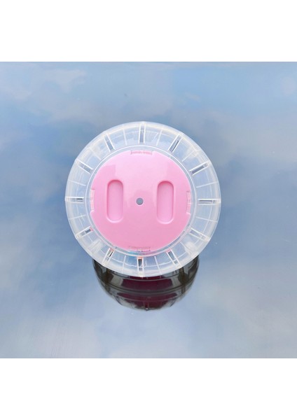 Beyaz Stil 12CM Evcil Hamster Şeffaf Koşu Topu Kemirgen Fareler Oyuncak Küçük Evcil Gerbil Sıçan Plastik Egzersiz Topları Küçük Evcil Aksesuarı (Yurt Dışından)