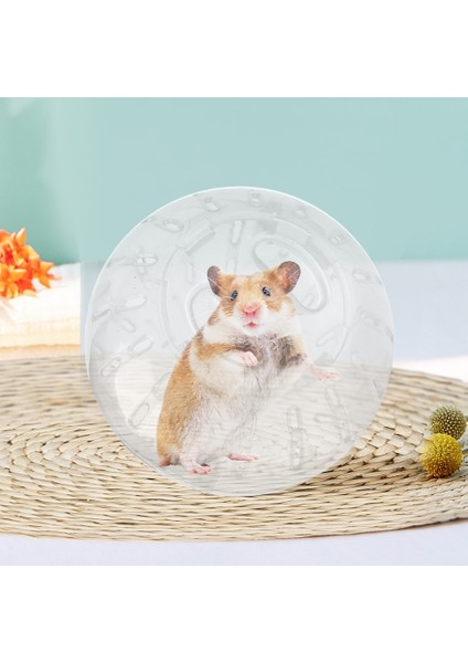 Sarı Stil 10CM Plastik Açık Hava Spor Topu Toprak Fare Küçük Evcil Kemirgen Hamster Gerbil Fare Egzersiz Topları Oyuncağı (Yurt Dışından)