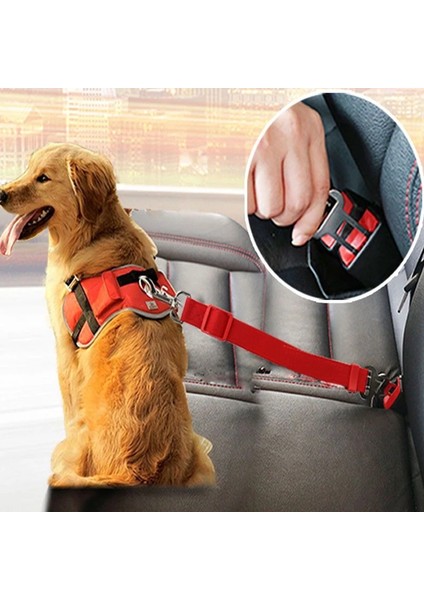 Mavi Stil Evcil Hayvanlar Için Araba Koltuğu Kemeri ve Tasma Seti - Köpek Malzemeleri (Yurt Dışından) fiyatları