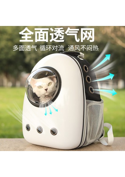 Evcil Hayvanlar Dışarı Çıkar Taşınabilir Şeffaf Taşınabilir Çanta (Yurt Dışından) fırsatları