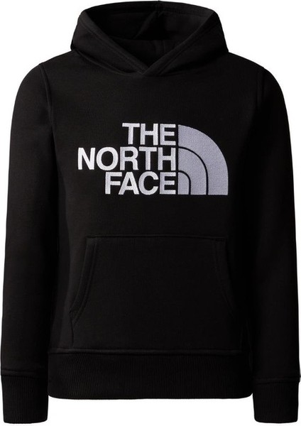 The North Face B Drew Peak P/o Hoodie