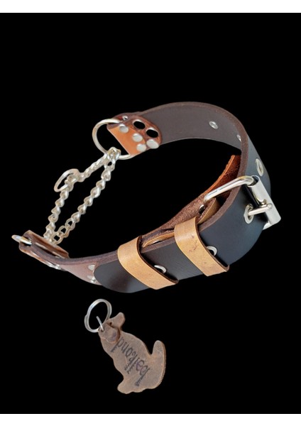 Köpek boyun tasması hakiki deri zincirli kahverengi taba kalınlık:4mm genişlik:3,5cm boyun ölçüsü:30-55cm dog collar T5-5
