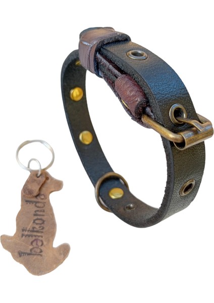 Köpek boyun tasması hakiki deri siyah kalınlık:4mm genişlik:1,5cm boyun ölçüsü:XS.24-30cm dog collar T1-30XS