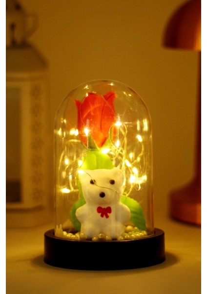 3 Modlu LED Işıklı Fanus Içinde Beyaz Ayıcık Detaylı Sevgiliye Hediyelik Dekoratif Gece Lambası