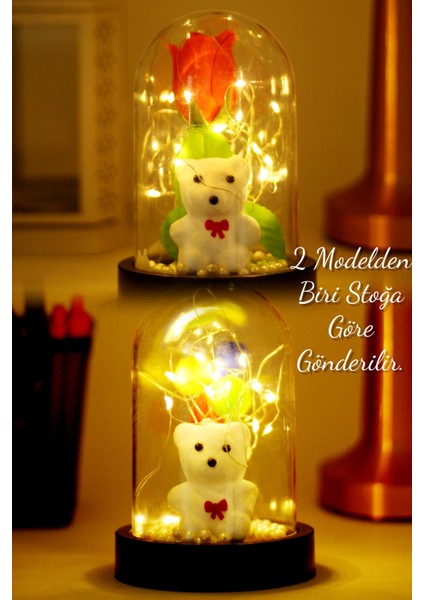 3 Modlu LED Işıklı Fanus Içinde Beyaz Ayıcık Detaylı Sevgiliye Hediyelik Dekoratif Gece Lambası fiyatları