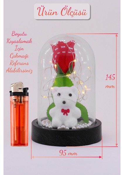 3 Modlu LED Işıklı Fanus Içinde Beyaz Ayıcık Detaylı Sevgiliye Hediyelik Dekoratif Gece Lambası modelleri