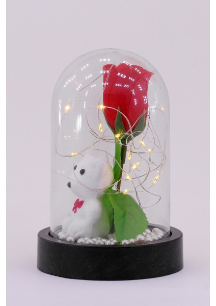 3 Modlu LED Işıklı Fanus Içinde Beyaz Ayıcık Detaylı Sevgiliye Hediyelik Dekoratif Gece Lambası fırsatları