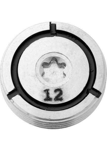 Başlı Vida 12G (Yurt Dışından)