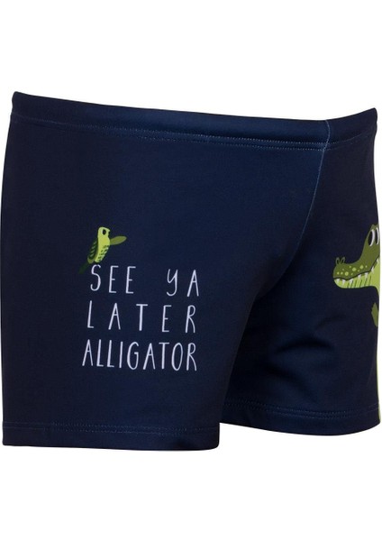 Allıgator Sort