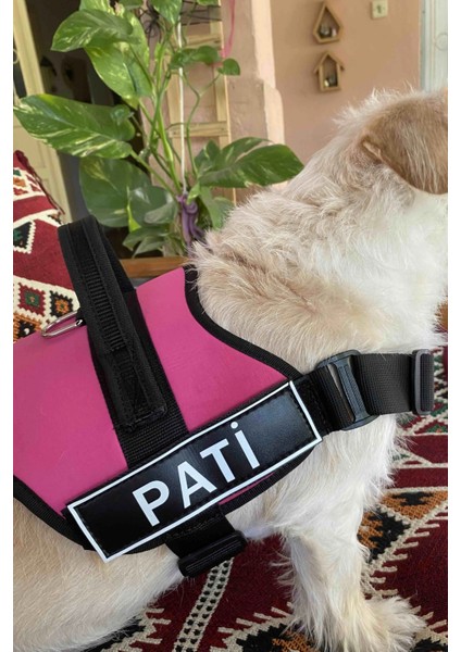 MgTasma Kişiye Özel, Isimli K9 Köpek Tasması, Göğüs Tasması Pembe modelleri