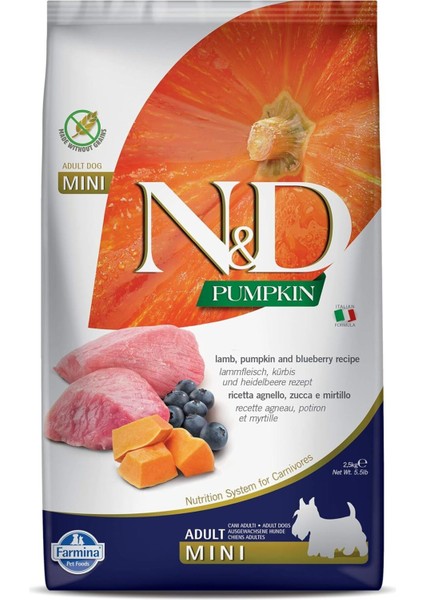 Pumpkin Tahılsız Köpek Maması, Kuzu & Yabanmersini Yetişkin Mini 2.5 kg Modern Tek Ebat