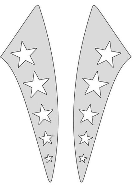 Cg Nikel Yıldızlı Çamurluk Yan Sticker