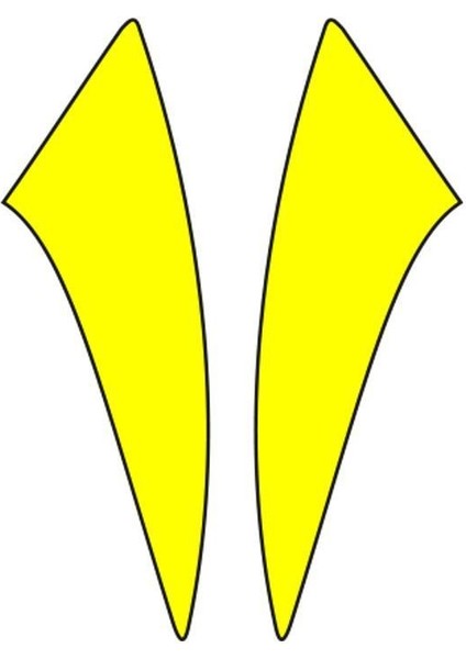 Cg Sarı Çamurluk Yan Sticker