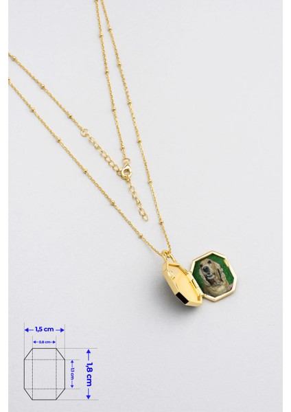 Malahit Kapsülü 18 Ayar Sarı Altın Kaplama 55 cm Gümüş Malahit Kolye fiyatları