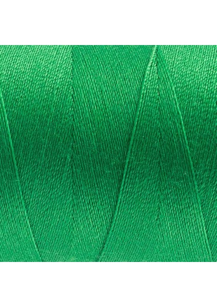 Wonderfil Polyester Dikiş Ipliği - DS843 - Pigment Green
