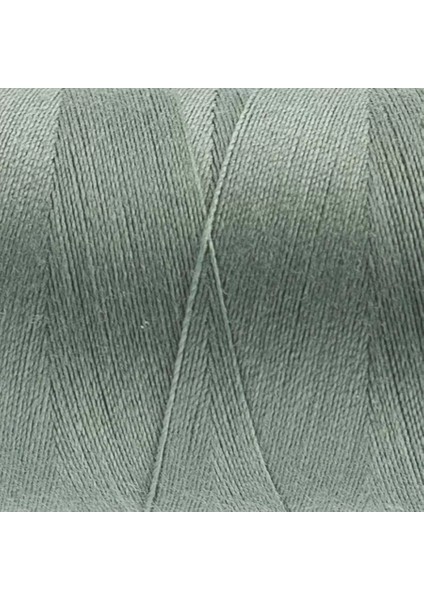 Wonderfil Polyester Dikiş Ipliği - DS119 - Nantle