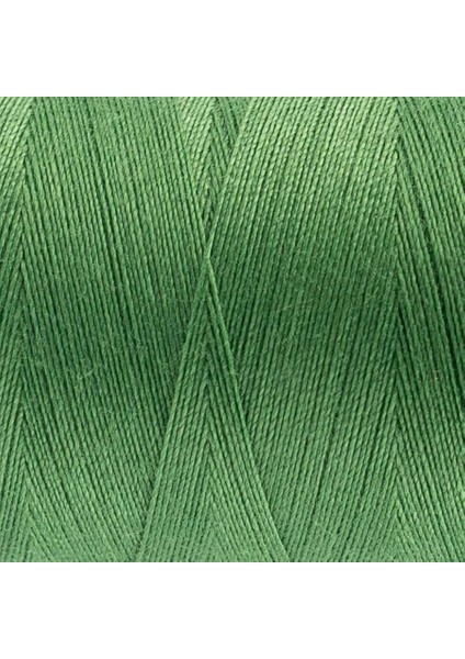 Wonderfil Polyester Dikiş Ipliği - DS198 - Granny Smith