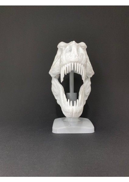 T-Rex Kafatası Tiranozor Büst Dekoratif Dinozor Stand Tyrannosaurus Dekoratif Obje