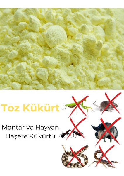 Yıldız Tohum Altın Kükürt Toz Kükürt Mantar Haşare Kükürtü 5 kg