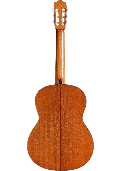 C5 SP Klasik Gitar modelleri