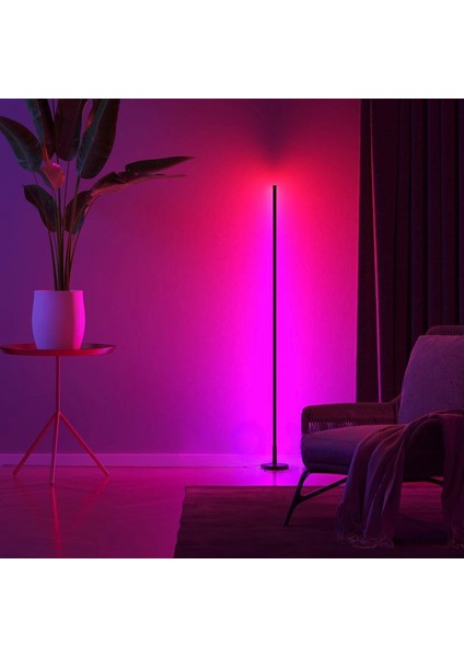 Rgb Kumandalı Aydınlatma fiyatları