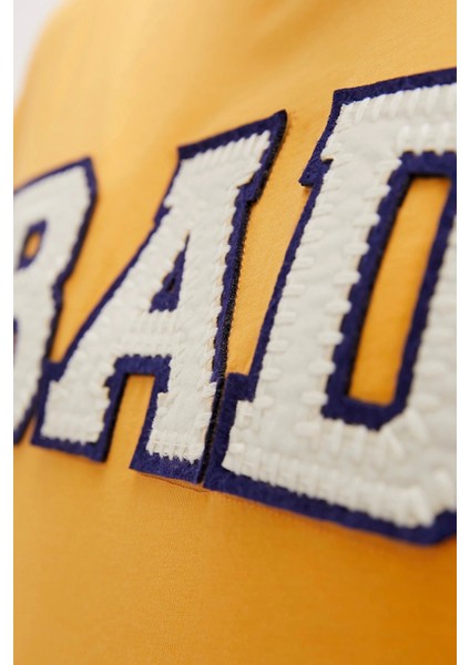 Felt Sarı Baskılı Erkek Tişört fiyatları