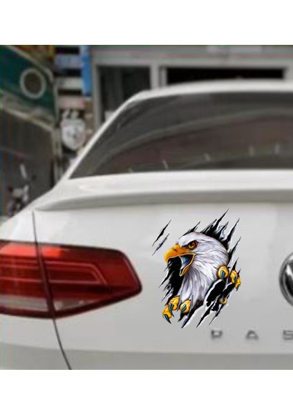 Kartal Vahşi Pençe Beşiktaş Karakartal Araba Oto Motosiklet Sticker 00045 fırsatları
