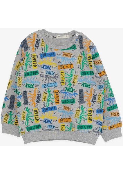 Erkek Çocuk T-Rex Baskılı Eşofman Takım modelleri