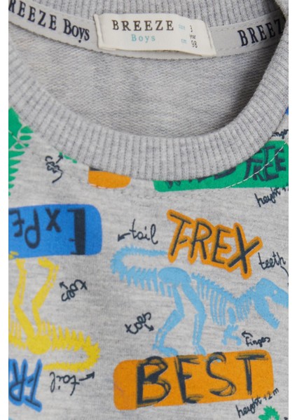 Erkek Çocuk T-Rex Baskılı Eşofman Takım indirimleri