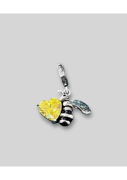 Çelik Charm