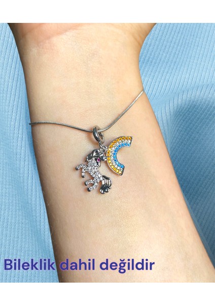 Çelik Charm