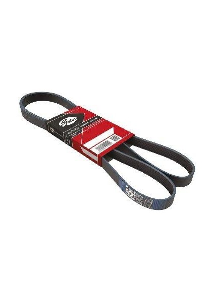 Master Movano 2.5d 8V Boxer Jumper 2.2 Hdı 8V Kanallı V Kayışı 6PK870 7700743548 Gold