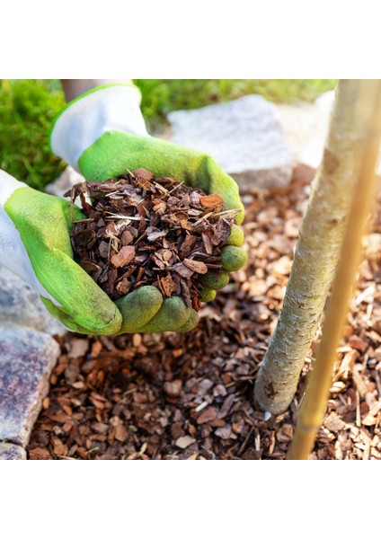 Doğal Ağaç Kabuğu 5 Lt Dekoratif Çam Kabuğu 1-2 cm