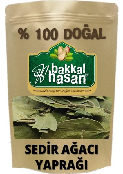 - Sedir Ağacı Yaprağı