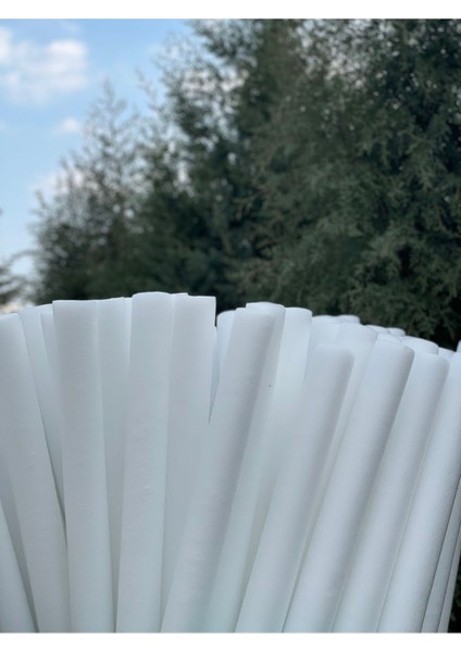 1 Adet Beyaz Deniz ve Havuz Makarnası, Köpük Sosis