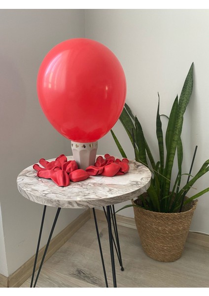 Pastel Kırmızı Balon 10LU