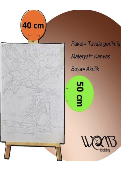 Nehir ve Ay Sayılarla Boyama Seti 40X50 cm (Tuvale Gerili)