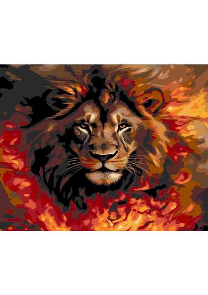 Sarı Kırmızı Sayılarla Boyama Seti 40X50 cm (Tuvale Gerili)