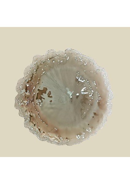 Cantheral Sunum Tabak 29 cm fiyatları