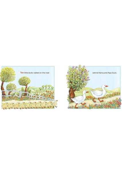 Ducks On The Road - Anita Lobel modelleri