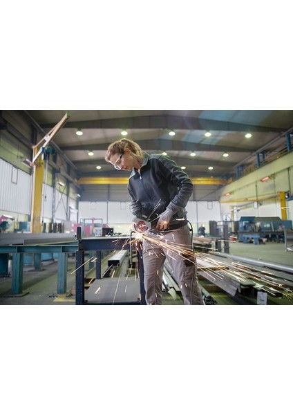 Profesyonel Gws 17-125 Açılı Taşlama Makinesi indirimleri