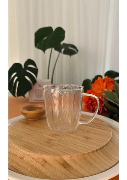 Doğa Kulplu Cam Bardak 6 Adet
