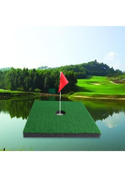 Golf Ş Paspasları Havuz Oyunu Yontma Çim 55X55CM Bir (Yurt Dışından)