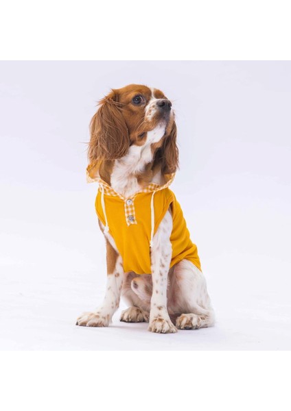 Sarı Gingham Kapşonlu Kedi Köpek Tişörtü