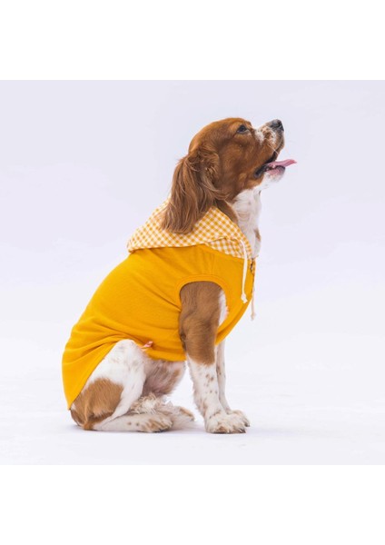 Sarı Gingham Kapşonlu Kedi Köpek Tişörtü