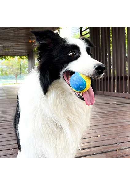 Shenzhen Xin Xin Köpekler Etkileşimli Oyunlar Yavaş Tpr Oyunlar Tesadüf Renkleri (Yurt Dışından)