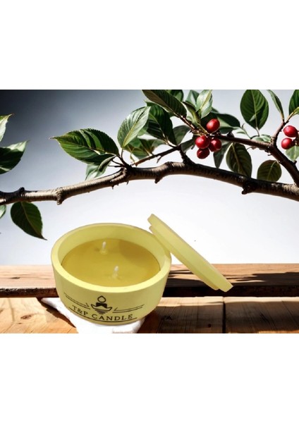 T&P Candle Citronella Aromalı Sinek ve Haşere Kovucu Kapaklı Beton Saksılı Soya Wax Mum