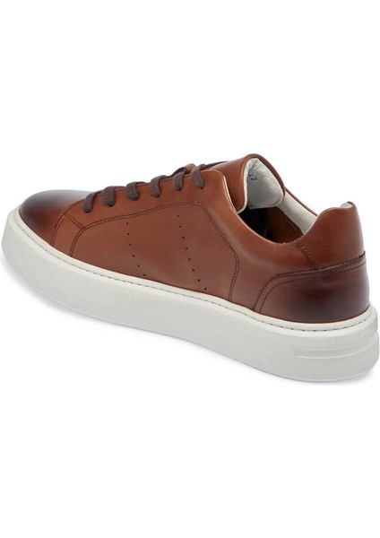 Taba Hakiki Deri Erkek Sneaker - E24I1AY56637-A29 fiyatları